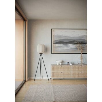 Eglo lights BELGRAVE floor lamp black, 1-light source