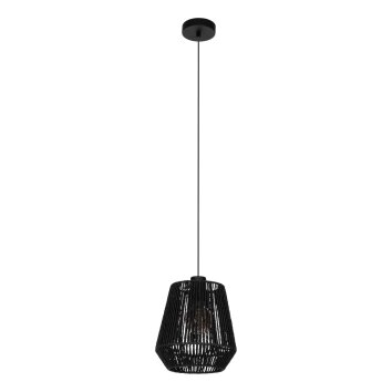 Eglo lights PERSLEY hanging light black, 1-light source