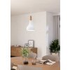 Eglo lights SABINAR hanging light white