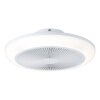 Eglo lights EGLO Ceiling fan light LED white, Remote control, Colour changer