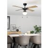 Eglo lights FORTALEZA Ceiling fan light black