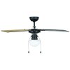 Eglo lights FORTALEZA Ceiling fan light black