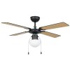 Eglo lights FORTALEZA Ceiling fan light black