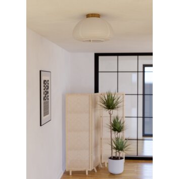 Eglo lights SUMMERHILL ceiling light brown, 1-light source