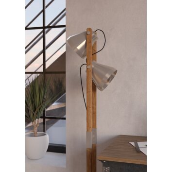Eglo lights CAWTON floor lamp brown, brushed steel, 2-light sources