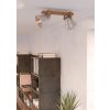 Eglo lights CAWTON ceiling light, ceiling spotlight brown, brushed steel, 2-light sources