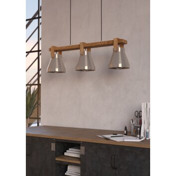 Eglo lights CAWTON hanging light brown, brushed steel, 3-light sources