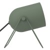 Eglo lights TILSTON table lamp green, 1-light source