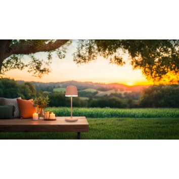 Eglo lights MANNERA-S table lamp LED orange, 1-light source, Remote control, Colour changer