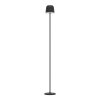 Eglo lights MANNERA-L floor lamp LED black, 1-light source, Remote control, Colour changer