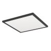 Eglo lights ROVITO-R ceiling light LED black, Remote control