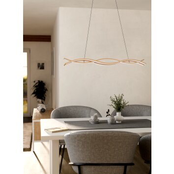 Eglo lights EGLO hanging light LED light brown