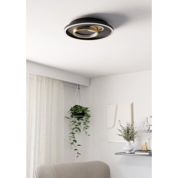 Eglo lights TIRIOLO ceiling light, wall and ceiling light LED gold, black