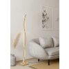 Eglo lights EGLO floor lamp LED light brown