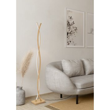 Eglo lights EGLO floor lamp LED light brown