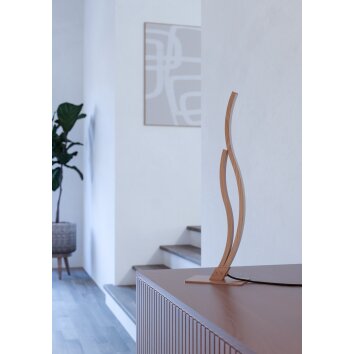 Eglo lights GRISOLIA table lamp LED brown