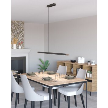 Eglo lights LISCIANA hanging light LED grey