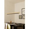 Eglo lights CAMACHO hanging light LED brown, black