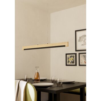 Eglo lights CAMACHO hanging light LED brown, black