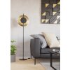 Eglo lights TOCINA floor lamp LED brass, black