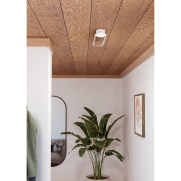 Eglo lights COLLECORVINO ceiling light LED white, Colour changer