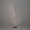 Eglo lights CARDONCITO floor lamp LED black, Colour changer