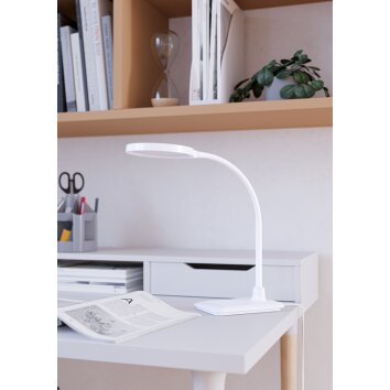Eglo lights LAURO table lamp LED white