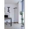Eglo lights EGLO floor lamp LED black