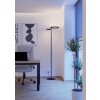 Eglo lights EGLO floor lamp LED black