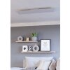 Eglo lights MORADILLO-R ceiling light LED white, Remote control