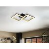 Eglo lights CALLIERA ceiling light LED brass, black
