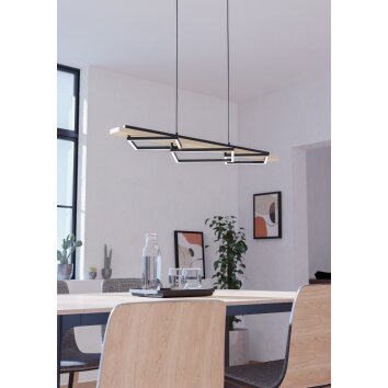 Eglo lights BOYAL hanging light LED brown, black