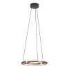 Eglo lights MEZZOMONTE hanging light LED bronze, black, Remote control