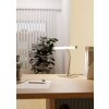 Eglo lights RICCIONE table lamp LED matt nickel