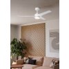 Eglo lights ORCUTT Ceiling fan light LED matt white, Remote control
