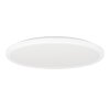 Eglo lights ROVITO-Z ceiling light LED white, Colour changer