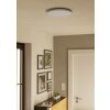 Eglo lights ROVITO-Z ceiling light LED white, Colour changer
