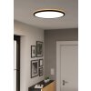 Eglo lights ROVITO-Z ceiling light LED black, Colour changer