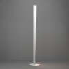 Eglo lights BOLOGNANO-Z floor lamp LED grey, Colour changer