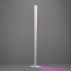 Eglo lights BOLOGNANO-Z floor lamp LED grey, Colour changer