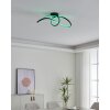 Eglo lights CALAROSSA-Z ceiling light LED black, Colour changer