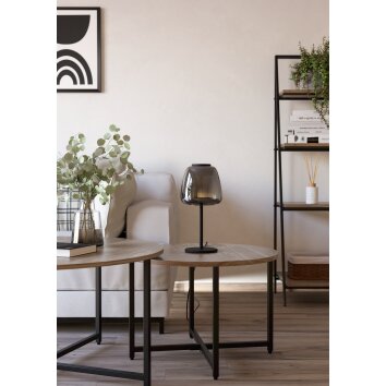 Eglo lights ALFERO-Z table lamp LED black, Colour changer