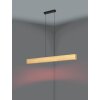 Eglo lights ANCHORENA-Z hanging light LED brown, black, Colour changer