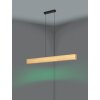 Eglo lights ANCHORENA-Z hanging light LED brown, black, Colour changer