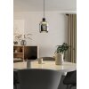 Eglo lights MOLOCHIO-Z hanging light LED black, Colour changer