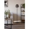 Eglo lights ALFERO-Z floor lamp LED black, Colour changer