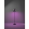 Eglo lights ALFERO-Z floor lamp LED black, Colour changer