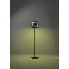 Eglo lights ALFERO-Z floor lamp LED black, Colour changer