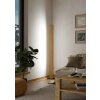 Eglo lights ANCHORENA-Z floor lamp LED brown, black, Colour changer