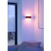 Eglo lights SANIA-Z wall light LED black, Colour changer